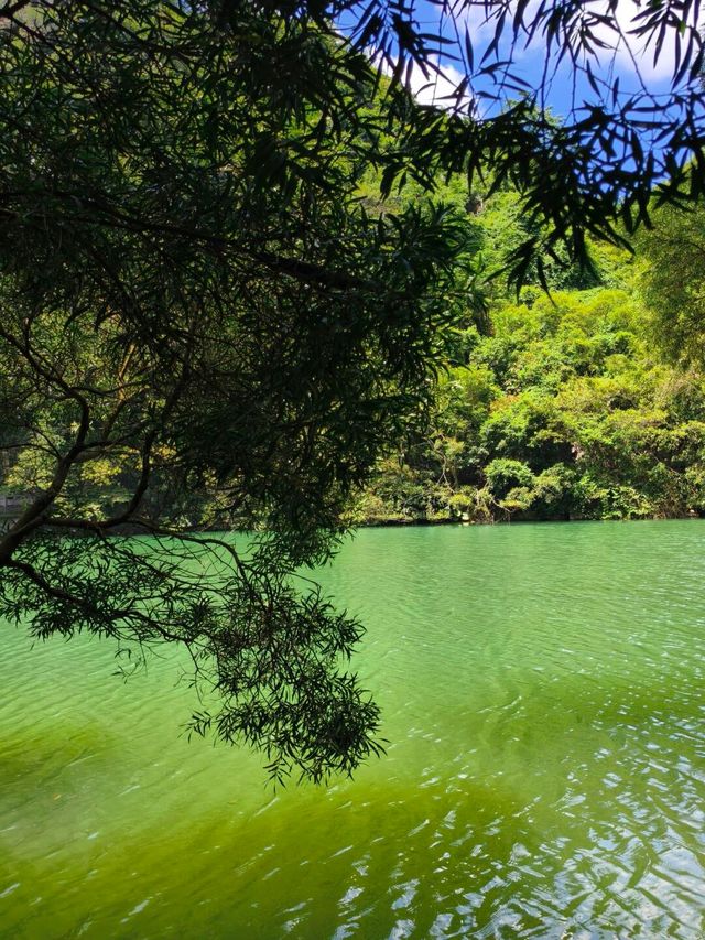 柳州龍潭公園影相避坑指南！避開人潮影出ins風大片