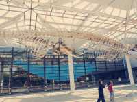 **【大阪自然探索樂園！市立自然史博物館親身體驗報告】**