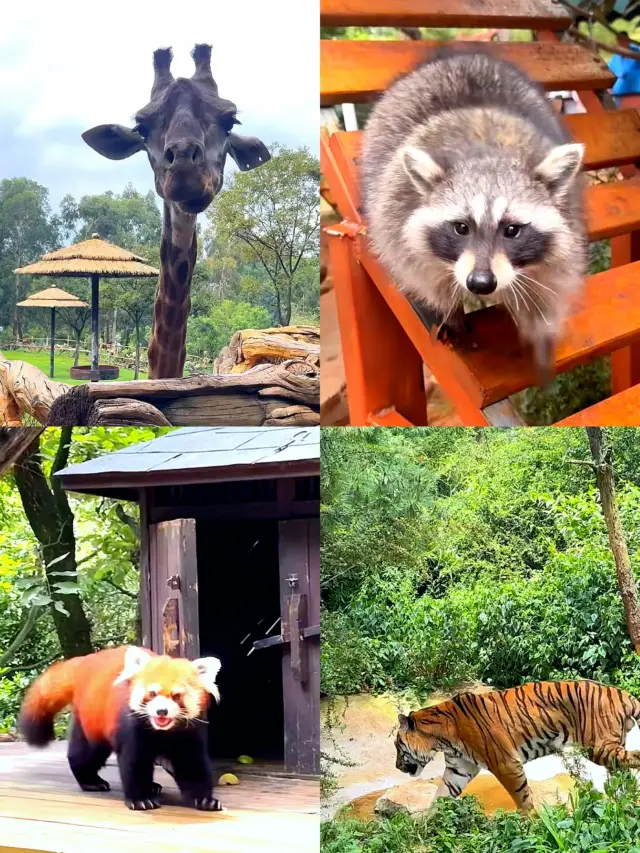 Kids' Favorite Place