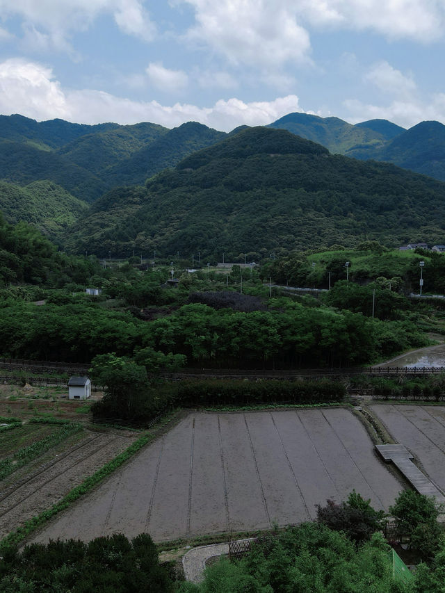 去紹興喺覆卮山遇見「南法莊園」嘅浪漫夏日