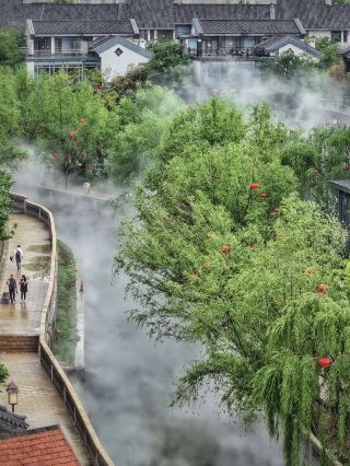 【Shandong 1h Direct｜4 Underrated Treasure Small Cities】