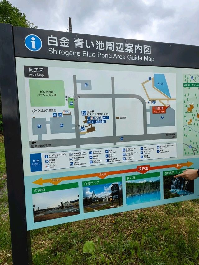 藍色的北海道白金青池
