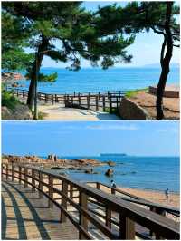 放棄威海了，青島真係太正啦