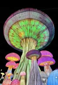 阿詩瑪代表雲南歡迎你