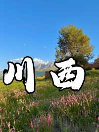 呢個就係川西夏天嘅含金量！！！