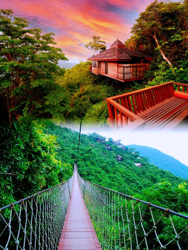 來三亞必住一次樹屋酒店！喺山野間避世度假