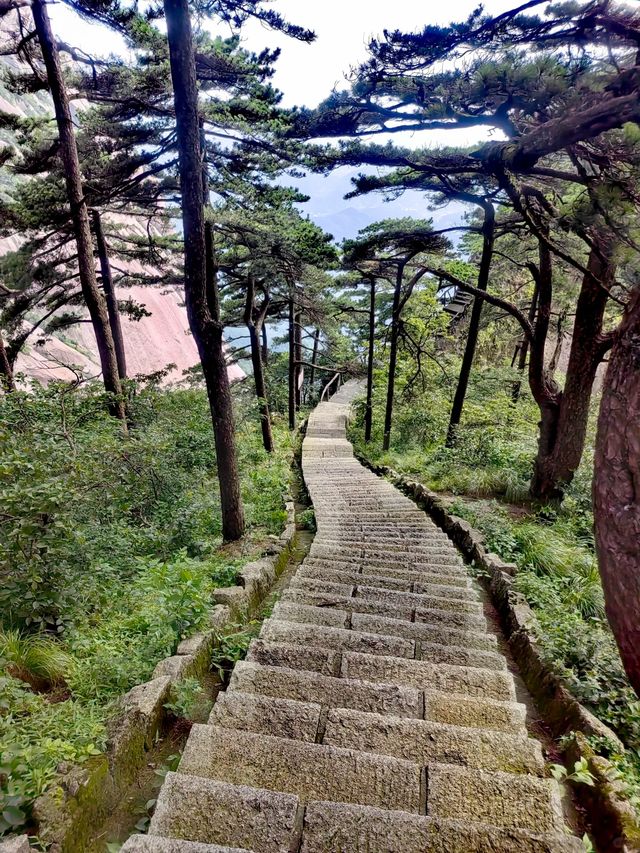 打工仔週末充電！23℃天柱山輕鬆行山，天然冷氣靠山風！