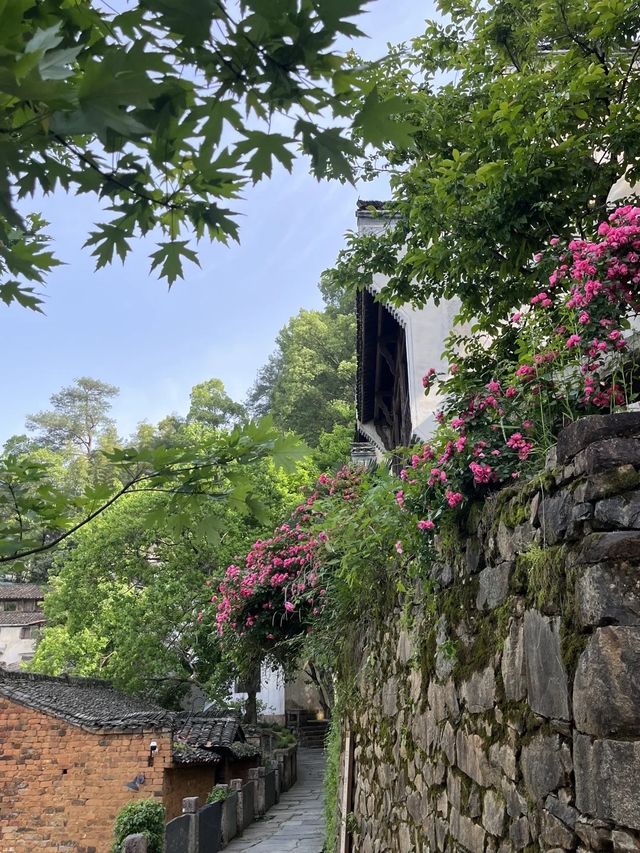 婺源篁嶺係中國最美鄉村之一🫶