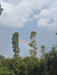 【貴州安順植物園向日葵花海深度遊】21℃清涼避暑