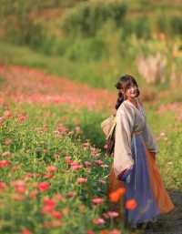 精緻江南小鎮與幽靜山村 這個夏天美好的假期就這樣選擇