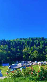 武陵山國家森林公園旺季旅遊攻略