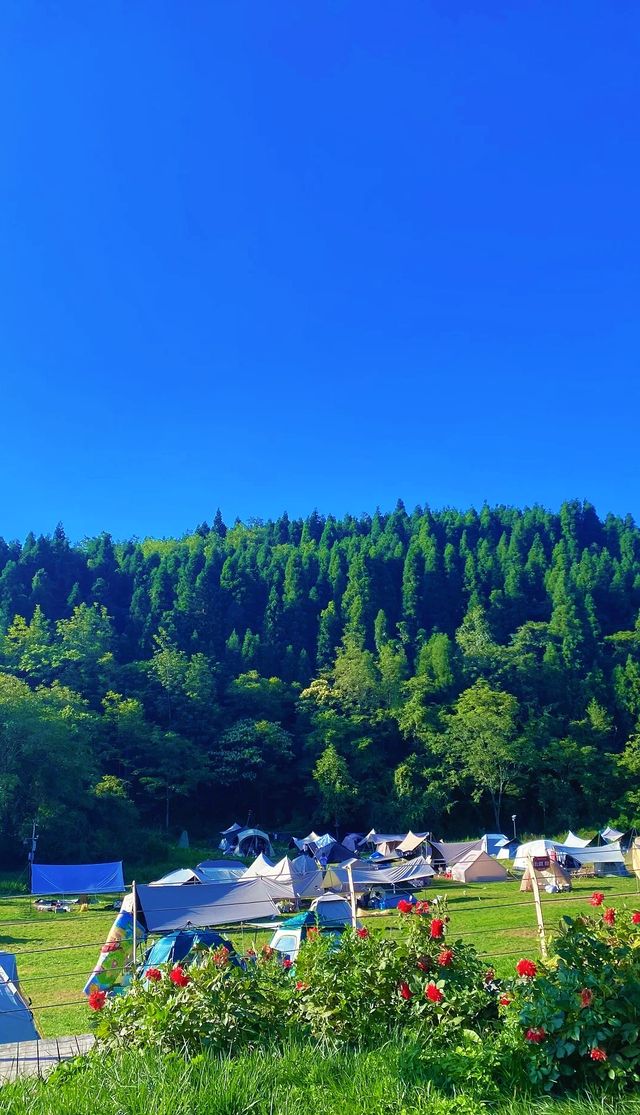 武陵山國家森林公園旺季旅遊攻略