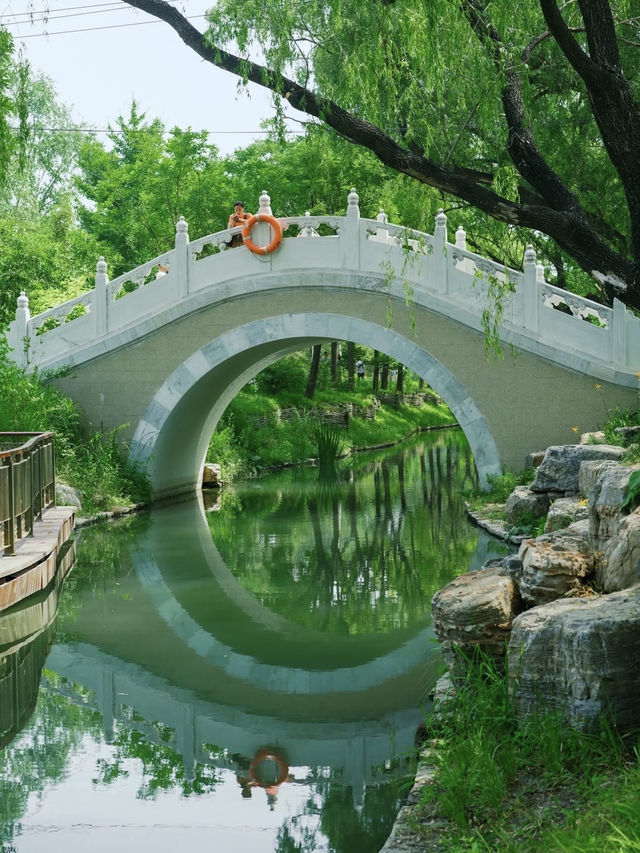 喺北京一個唔小心跌入初夏嘅綠野仙蹤