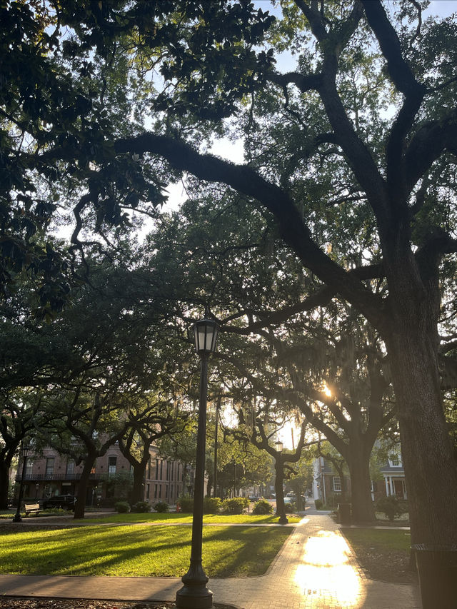 美國南方小鎮薩凡納 - 《阿甘正傳》取景地