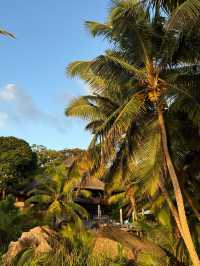 Unforgettable Experience at Constance Lemuria