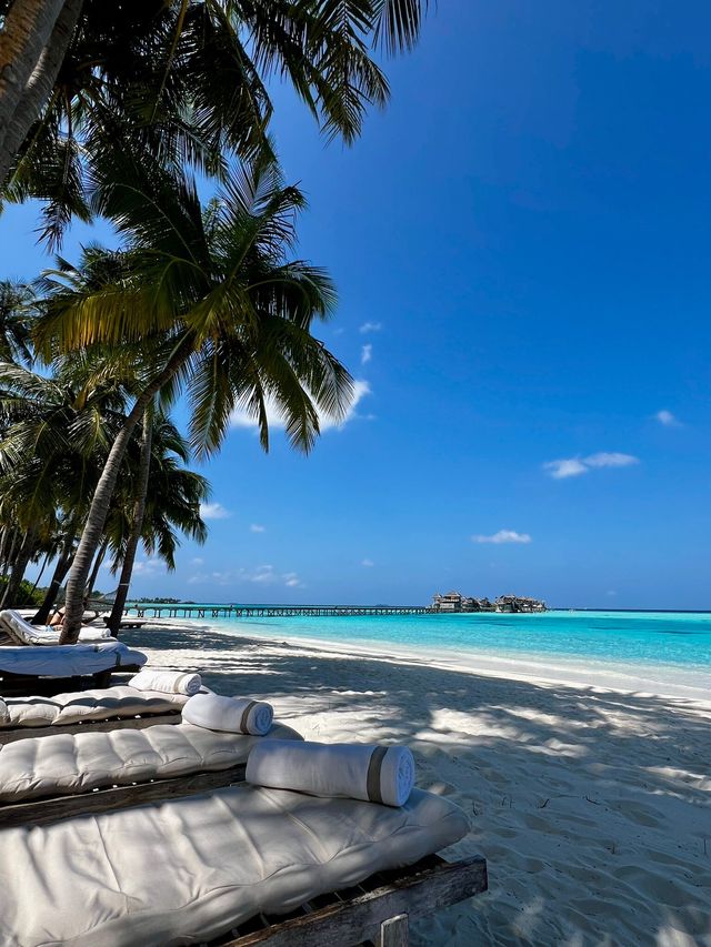 A Wonderful Gili Experience