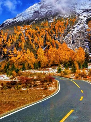 The Ultimate Detailed Guide to Visiting Siguniang Mountain in Autumn