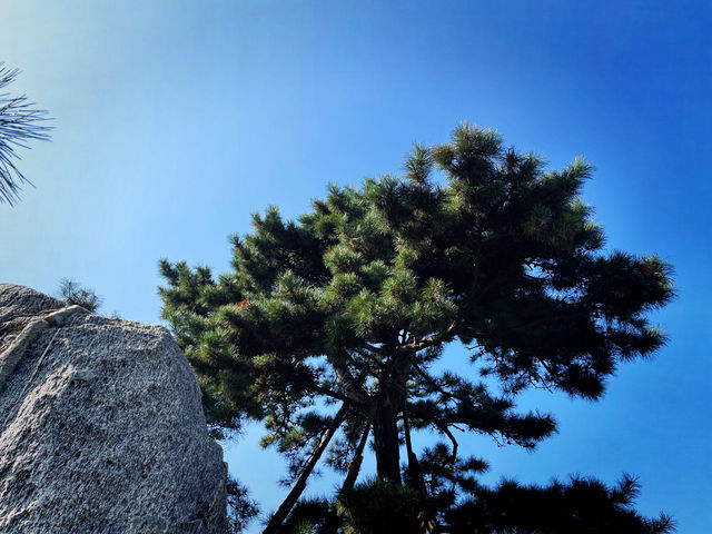 秋日奧林匹克公園-南園私藏打卡路線