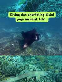 🦎 PETUALANGAN SERU DI PULAU KOMODO