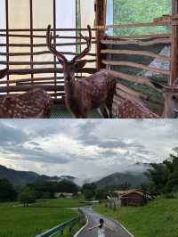 瀏陽五號山谷避坑&種草全攻略！住對房才是真·嚮往的生活