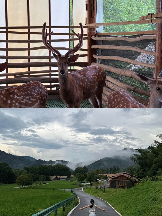 瀏陽五號山谷避坑&種草全攻略！住對房才是真·嚮往的生活