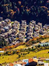 川西私藏！40公里「油畫長廊」奶子溝，免費看彩林還能住藏寨