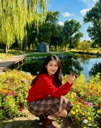 圓明園花海暴擊！一不小心闖進莫奈油畫世界