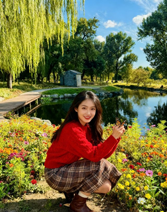 圓明園花海暴擊！一不小心闖進莫奈油畫世界