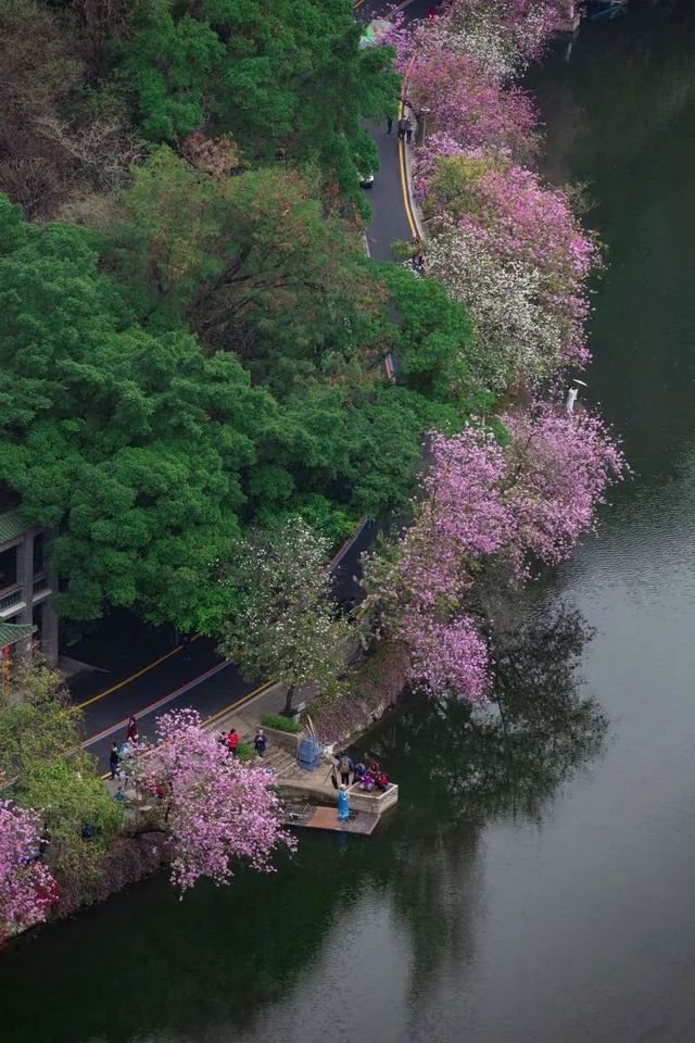 肇慶旅遊攻略大揭秘！這個寶藏城市，絕對讓你驚喜連連