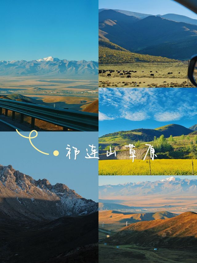 青甘大環線6天5夜｜西北色卡收集指南，速來抄作業！