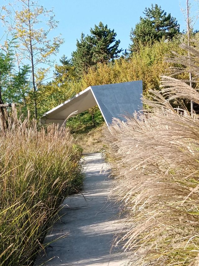 雁南公園金秋漫步指南
