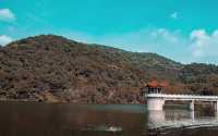 東北小眾仙境東方紅水庫垂釣露營全攻略