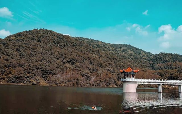 東北小眾仙境東方紅水庫垂釣露營全攻略