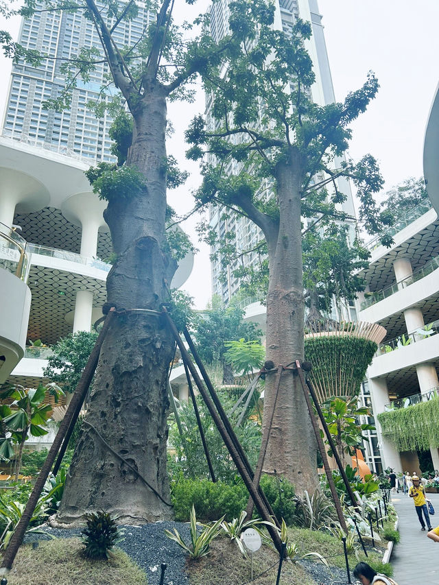 🌌 阪田萬科｜像走進《阿凡達》的城市叢林