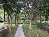 🌿 福田紅樹林生態公園｜城市裡的自然保護園區！