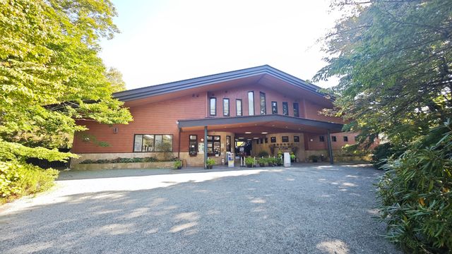 箱根濕生花園 —— 低調、但不可錯過的地方