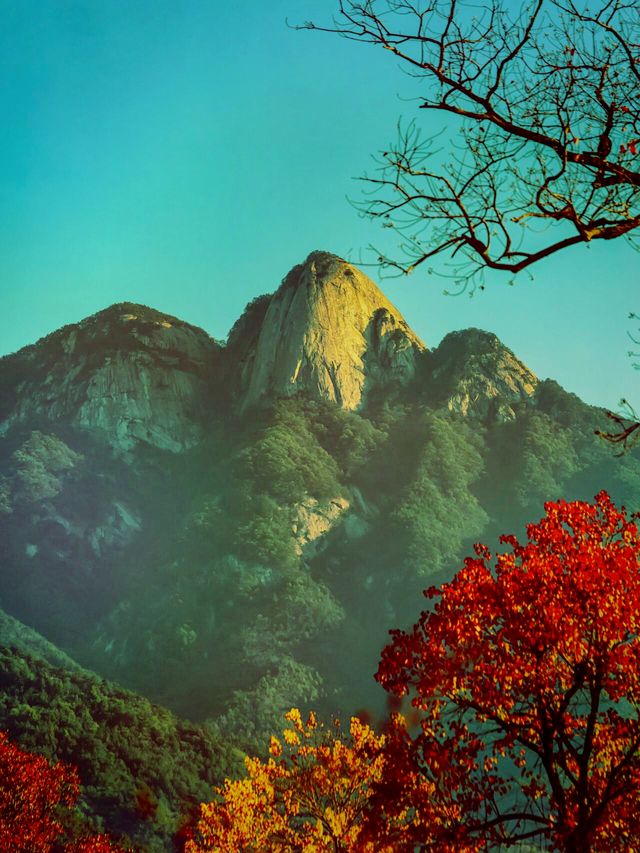 紅橙黃綠 ，最美秋天