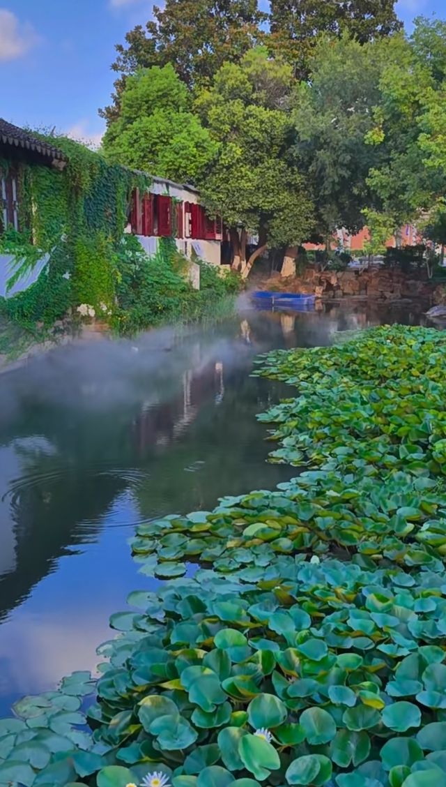 蘇州滄浪亭：藏在千年文脈裡的園林秘境