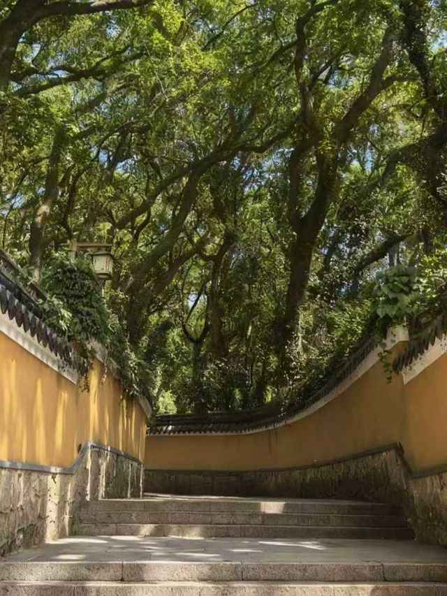 普陀山兩日淨心之旅真的太治癒了! 普陀山兩日淨心之旅真的太治癒了!