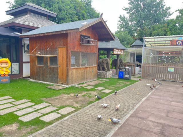 上海太陽島度假別墅|寵物友好還能遇見王安石詩意 上海太陽島度假別墅|寵物友好還能遇見王安石詩意