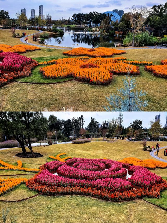 空中步廊俯瞰花草描繪的彩色大地。