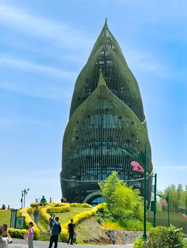 桃花江竹海遊玩攻略：竹知道，你該來浪了！