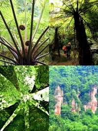 赤水丹霞雄風席捲黔北,自然偉力震撼山河