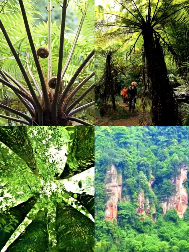 赤水丹霞雄風席捲黔北,自然偉力震撼山河 赤水丹霞雄風席捲黔北,自然偉力震撼山河