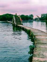 紹興秋日限定：20min高鐵直達，銀杏古寺醉江南