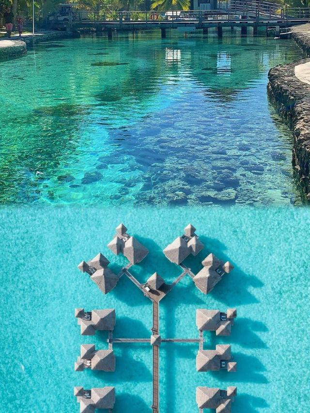 波拉波拉瑞吉｜此生必住！大溪地天花板級海景房