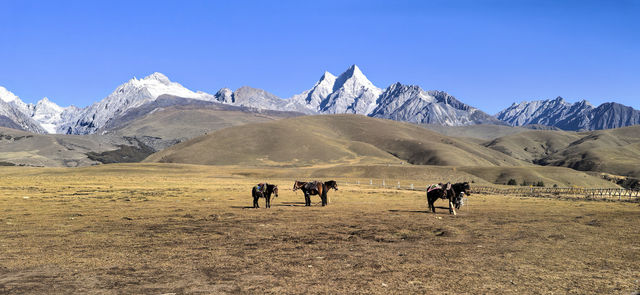 叩尋蜀山荒野秘境——格聶南線反穿自駕 叩尋蜀山荒野秘境——格聶南線反穿自駕