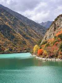 秋日松坪溝賞楓全攻略