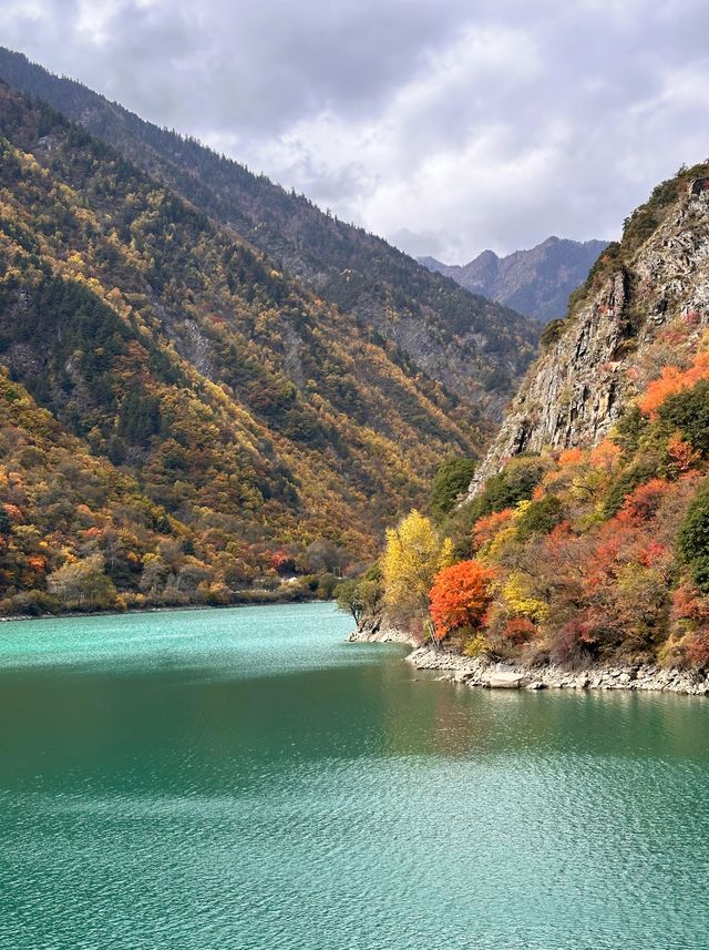 秋日松坪溝賞楓全攻略