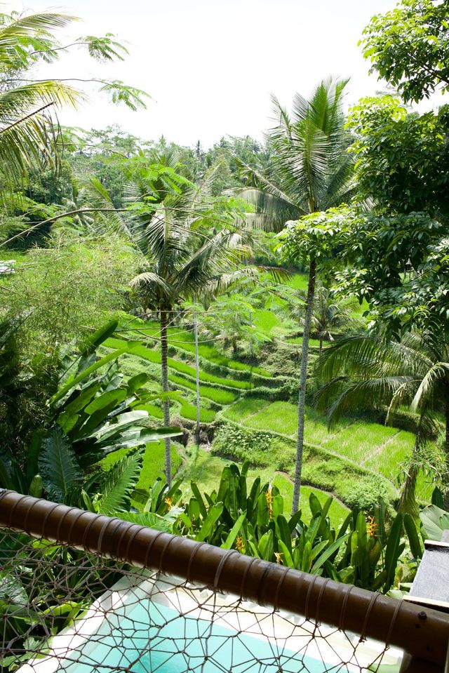 Unforgettable Stay at Bambootel in Bali